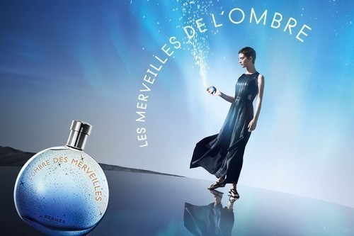 L'OMBRE DES MERVEILLES EDP